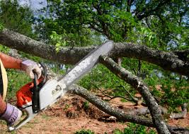 Best Lawn Watering Services  in Jacksonville, FL