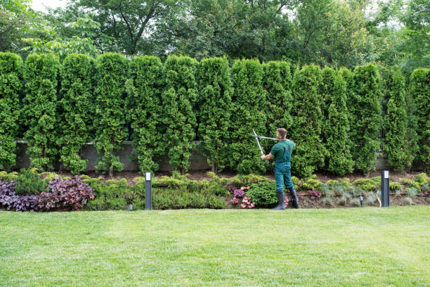 Best Landscape Design and Installation  in Jacksonville, FL