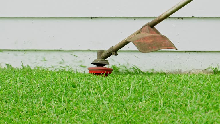 Best Lawn Mowing  in Jacksonville, FL